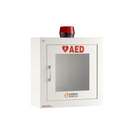 Wall Cabinet:Surface Mount Alarm, Strobe, Security